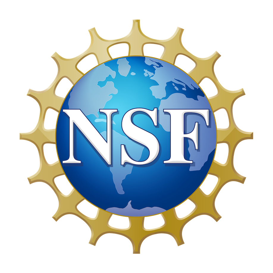 NSF_Official_logo_High_Res_1200ppi-copy.png